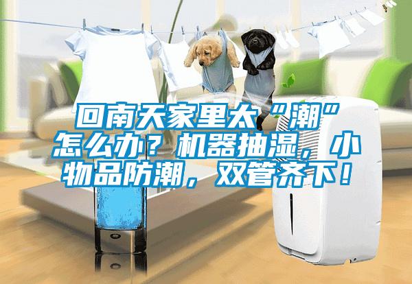 回南天家里太“潮”怎么辦？機(jī)器抽濕，小物品防潮，雙管齊下！