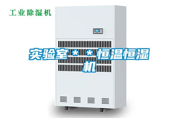 實驗室**恒溫恒濕機