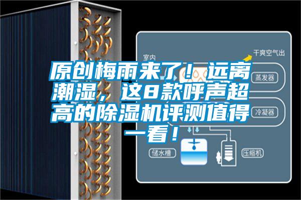 原創(chuàng)梅雨來(lái)了!遠(yuǎn)離潮濕,這8款呼聲超高的除濕機(jī)評(píng)測(cè)值得一看!