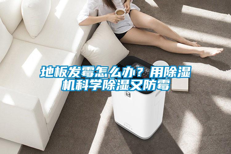 地板發霉怎么辦?用除濕機科學除濕又防霉