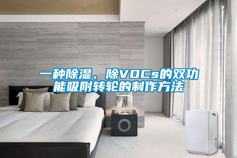 一種除濕、除VOCs的雙功能吸附轉輪的制作方法