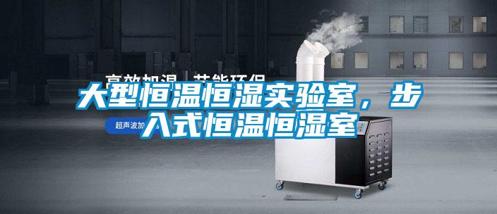 大型恒溫恒濕實驗室,步入式恒溫恒濕室