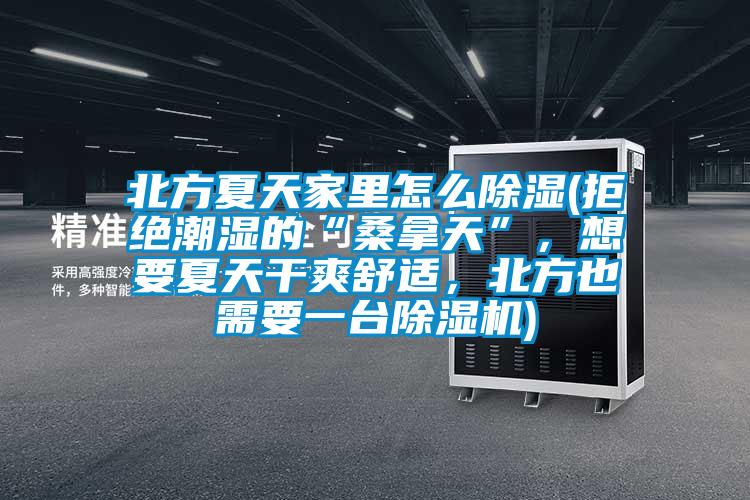 北方夏天家里怎么除濕(拒絕潮濕的“桑拿天”,想要夏天干爽舒適,北方也需要一臺除濕機)