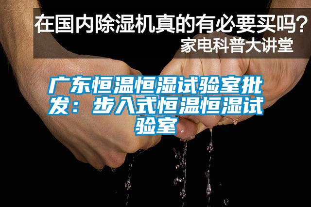 廣東恒溫恒濕試驗(yàn)室批發(fā):步入式恒溫恒濕試驗(yàn)室