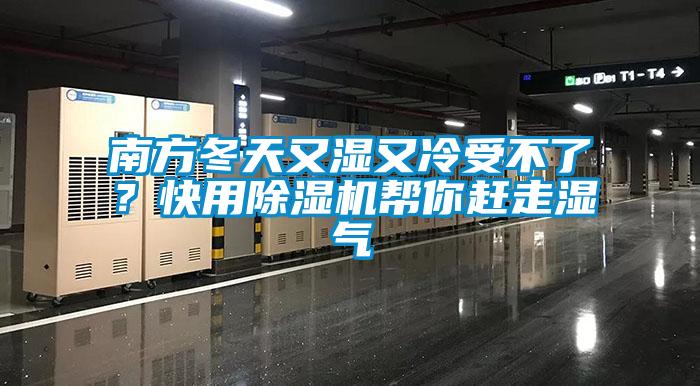 南方冬天又濕又冷受不了?快用除濕機幫你趕走濕氣