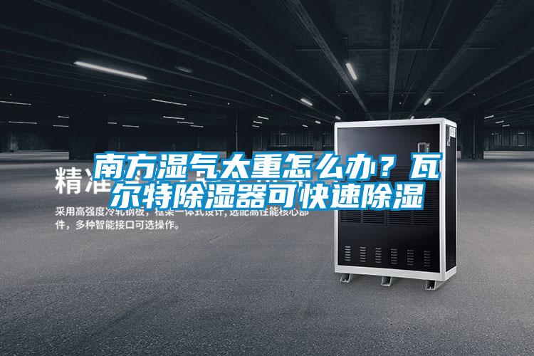 南方濕氣太重怎么辦?瓦爾特除濕器可快速除濕