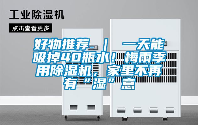 好物推薦 | 一天能吸掉40瓶水!梅雨季用除濕機(jī),家里不再有“濕”意