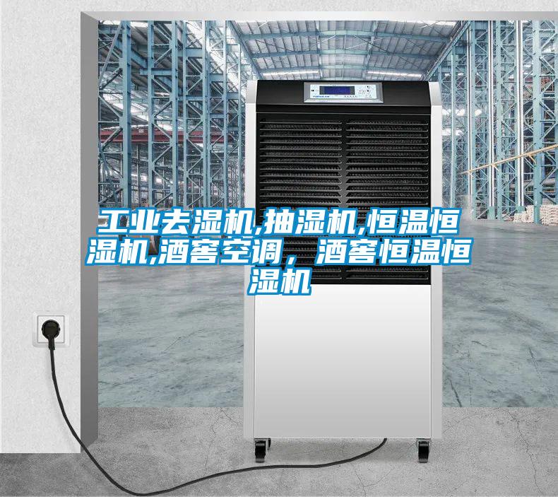 工業(yè)去濕機,抽濕機,恒溫恒濕機,酒窖空調,酒窖恒溫恒濕機