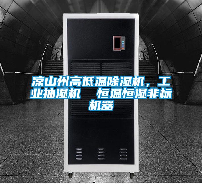 涼山州高低溫除濕機(jī),工業(yè)抽濕機(jī) 恒溫恒濕非標(biāo)機(jī)器