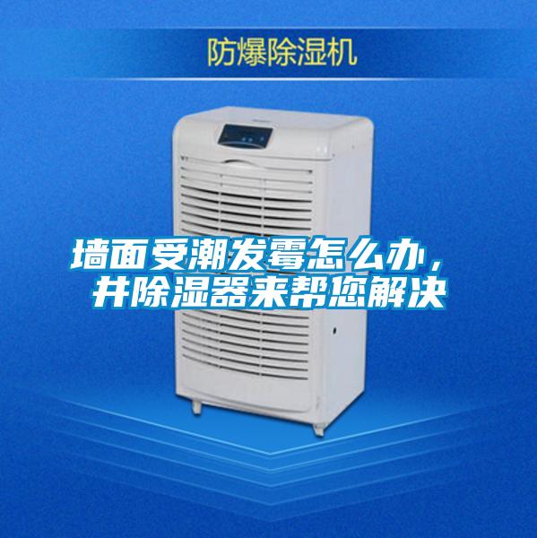 墻面受潮發(fā)霉怎么辦,東井除濕器來幫您解決