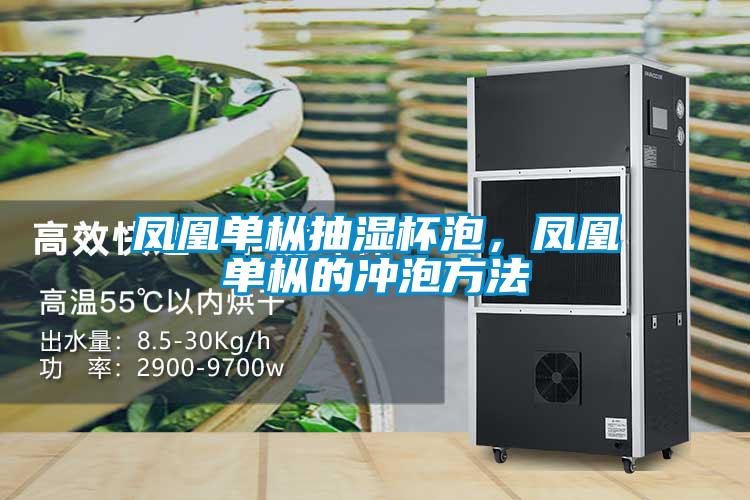 鳳凰單樅抽濕杯泡，鳳凰單樅的沖泡方法