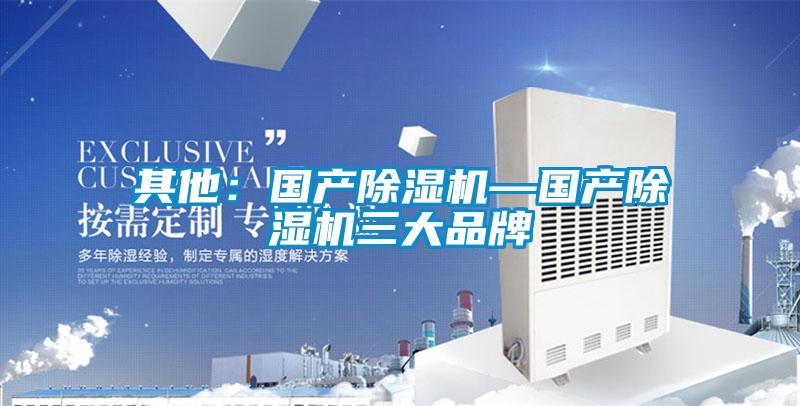 其他:國產除濕機—國產除濕機三大品牌