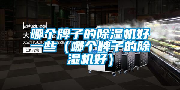 哪個牌子的除濕機好一些(哪個牌子的除濕機好)