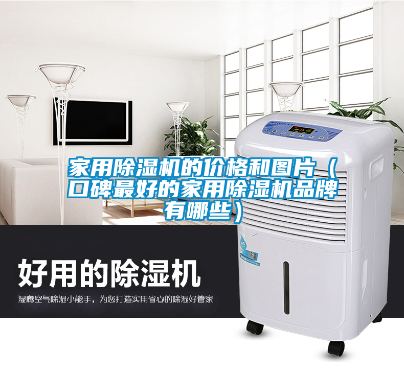 家用除濕機(jī)的價(jià)格和圖片(口碑最好的家用除濕機(jī)品牌有哪些)