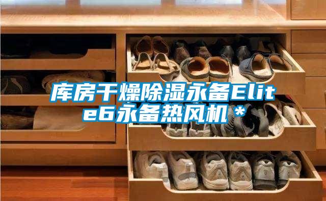 庫房干燥除濕永備Elite6永備熱風(fēng)機(jī)*