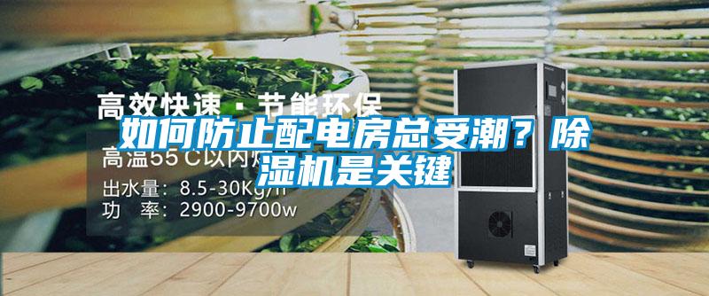 如何防止配電房總受潮?除濕機是關(guān)鍵