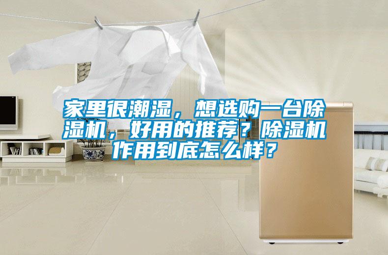 家里很潮濕,想選購(gòu)一臺(tái)除濕機(jī),好用的推薦?除濕機(jī)作用到底怎么樣?