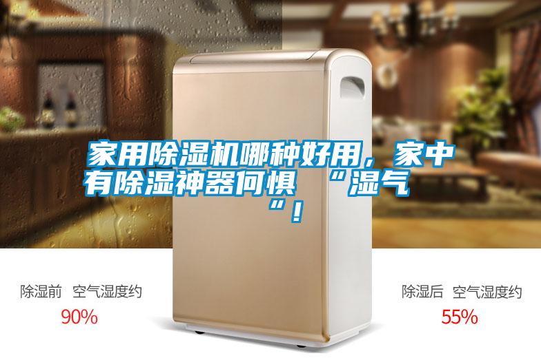 家用除濕機哪種好用,家中有除濕神器何懼 “濕氣 “!