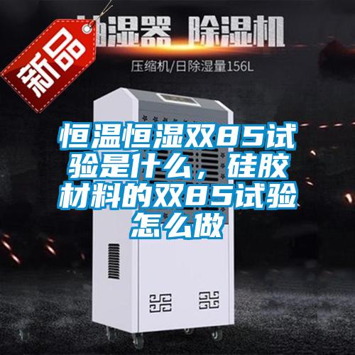 恒溫恒濕雙85試驗是什么,硅膠材料的雙85試驗怎么做