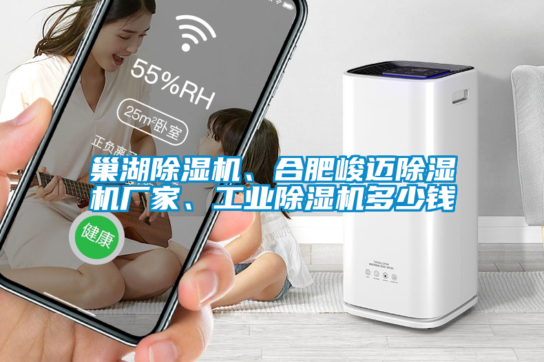 巢湖除濕機(jī)、合肥峻邁除濕機(jī)廠家、工業(yè)除濕機(jī)多少錢(qián)