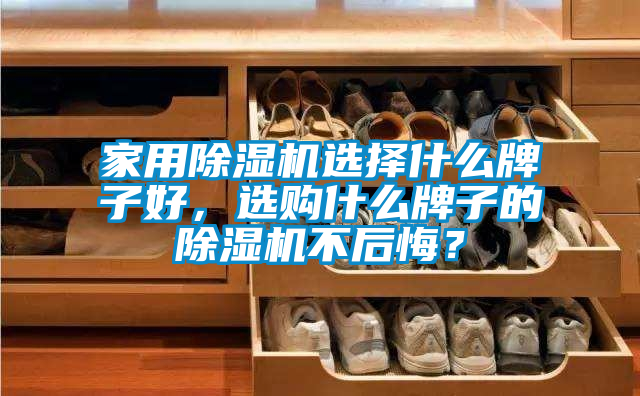 家用除濕機選擇什么牌子好,選購什么牌子的除濕機不后悔?