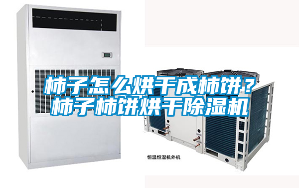 柿子怎么烘干成柿餅？柿子柿餅烘干除濕機