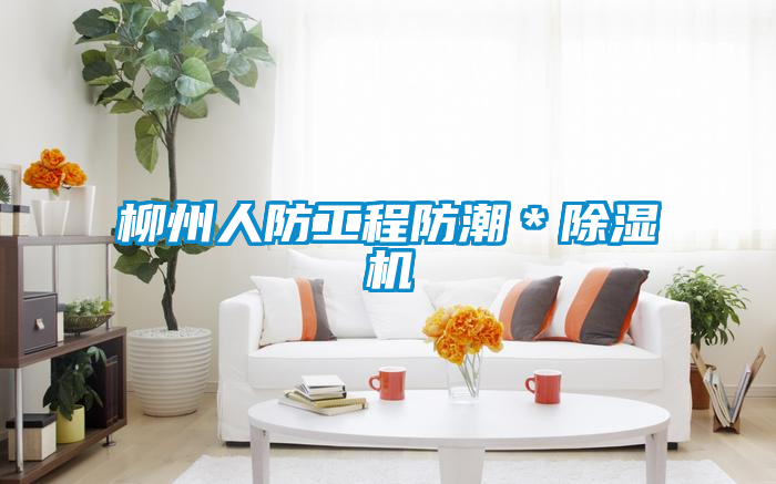 柳州人防工程防潮*除濕機(jī)