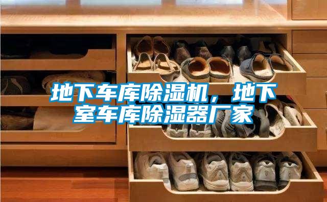 地下車庫除濕機,地下室車庫除濕器廠家