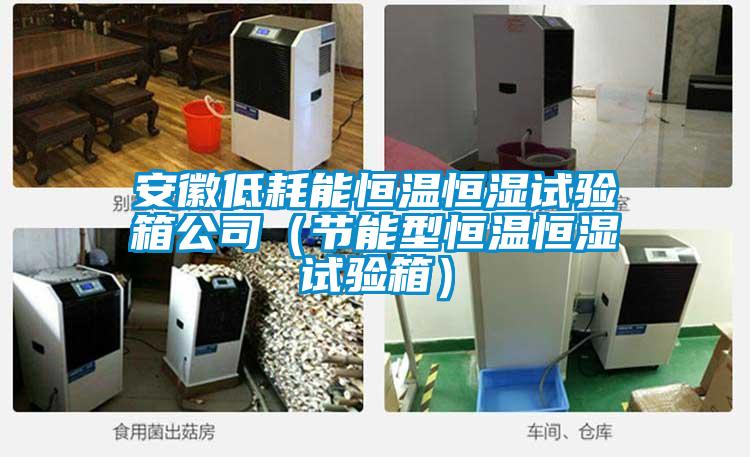安徽低耗能恒溫恒濕試驗箱公司(節能型恒溫恒濕試驗箱)