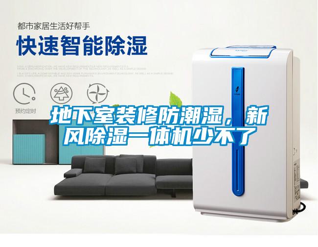地下室裝修防潮濕,新風(fēng)除濕一體機(jī)少不了