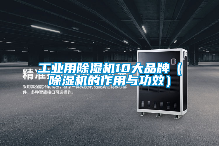 工業用除濕機10大品牌(除濕機的作用與功效)