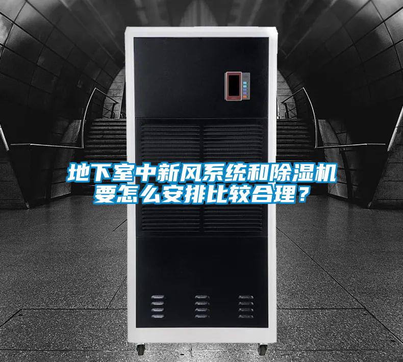 地下室中新風(fēng)系統(tǒng)和除濕機要怎么安排比較合理?