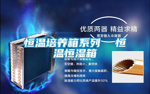 恒溫培養(yǎng)箱系列 恒溫恒濕箱