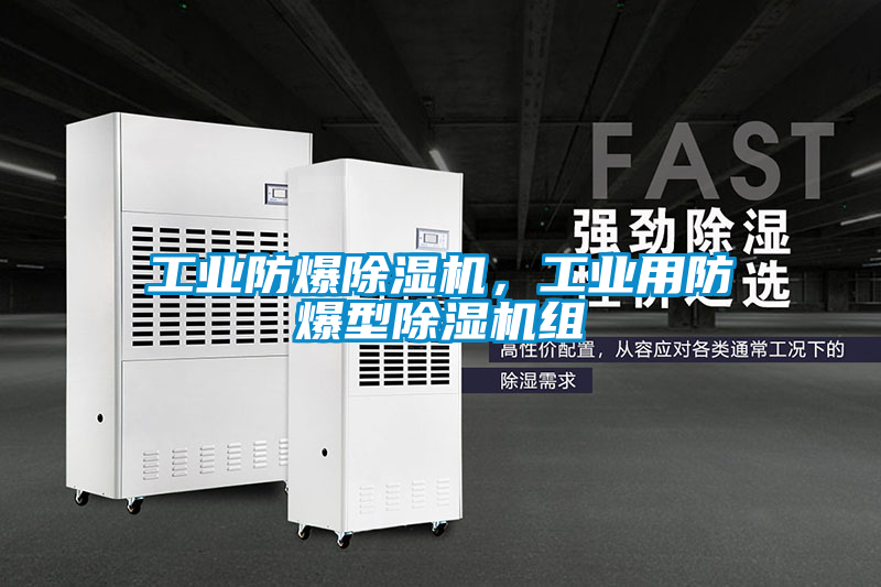 工業防爆除濕機,工業用防爆型除濕機組