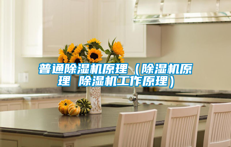 普通除濕機(jī)原理(除濕機(jī)原理 除濕機(jī)工作原理)