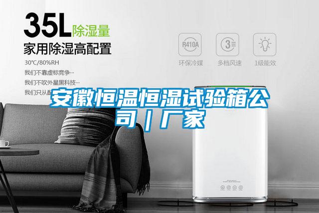 安徽恒溫恒濕試驗箱公司|廠家