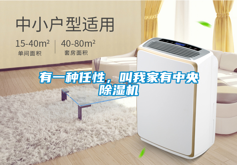 有一種任性,叫我家有中央除濕機