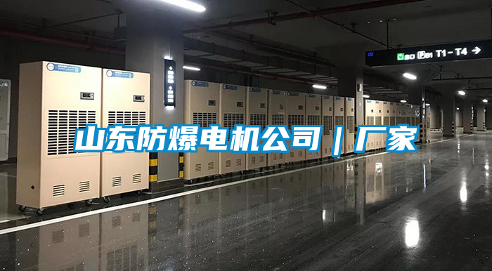山東防爆電機公司|廠家