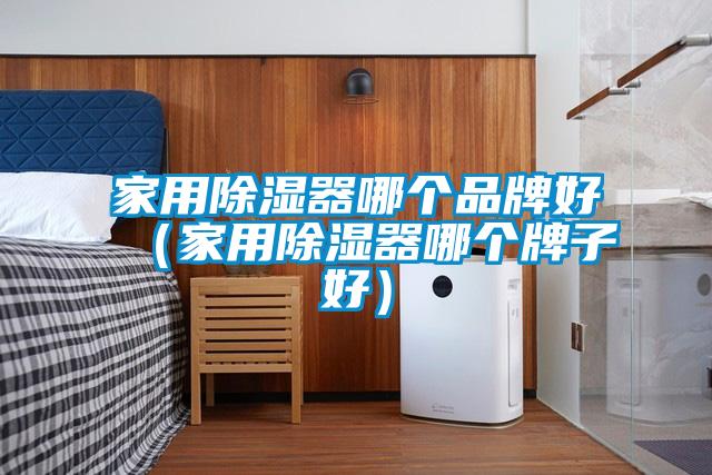 家用除濕器哪個品牌好(家用除濕器哪個牌子好)