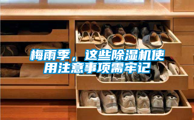 梅雨季,這些除濕機使用注意事項需牢記