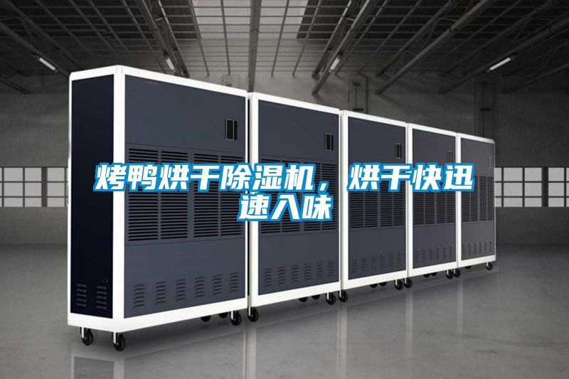 烤鴨烘干除濕機,烘干快迅速入味