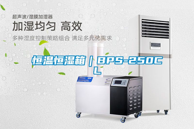 恒溫恒濕箱|BPS-250CL