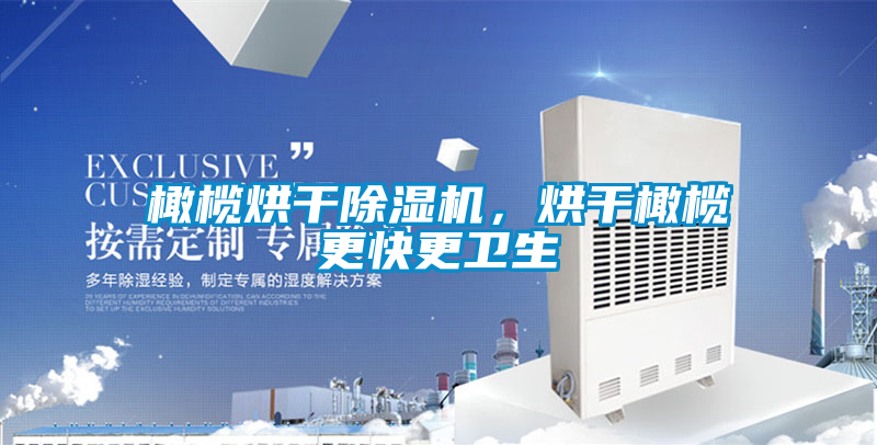 橄欖烘干除濕機,烘干橄欖更快更衛生