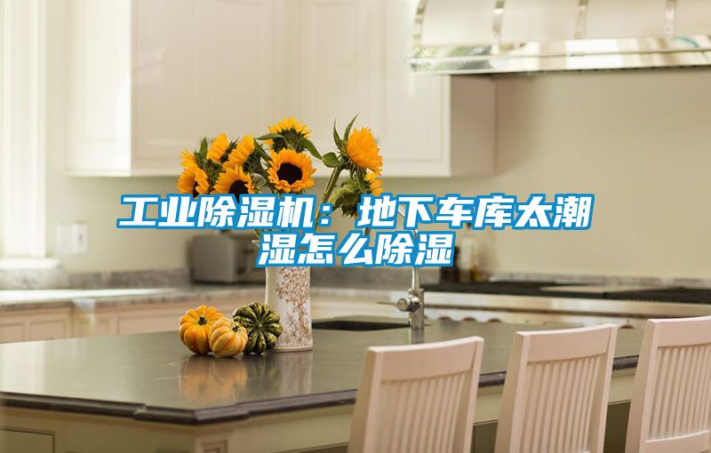 工業(yè)除濕機:地下車庫太潮濕怎么除濕