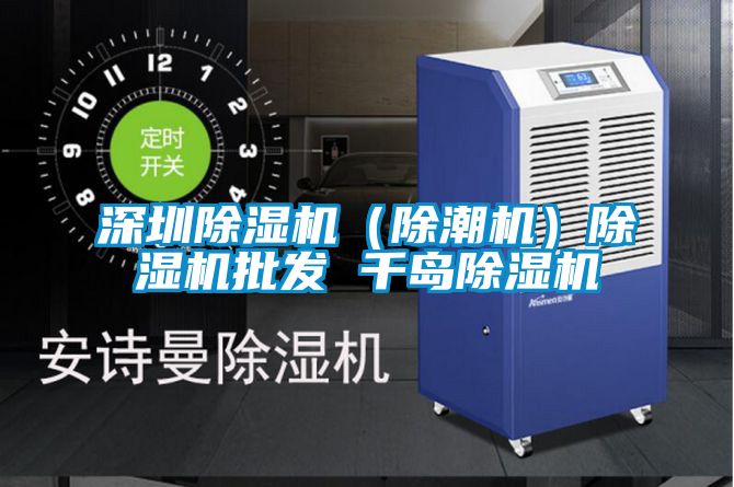 深圳除濕機(除潮機)除濕機批發 千島除濕機