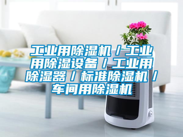 工業(yè)用除濕機/工業(yè)用除濕設備/工業(yè)用除濕器/標準除濕機/車間用除濕機