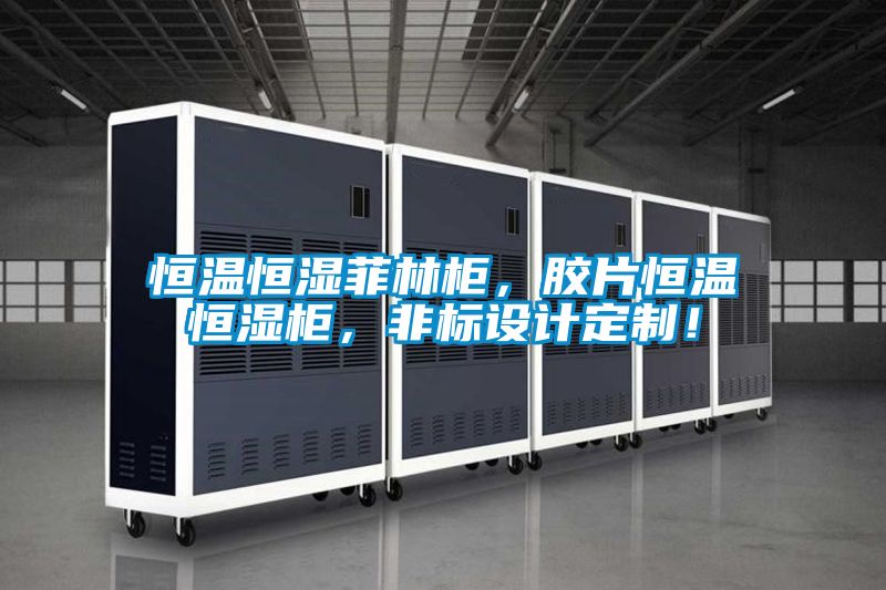 恒溫恒濕菲林柜,膠片恒溫恒濕柜,非標設(shè)計定制!