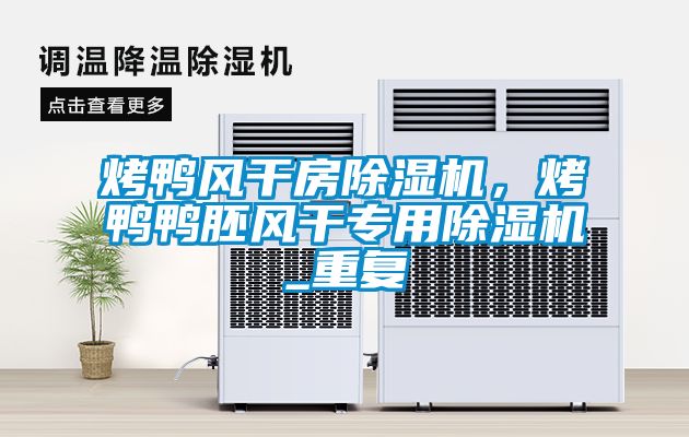 烤鴨風干房除濕機,烤鴨鴨胚風干專用除濕機_重復