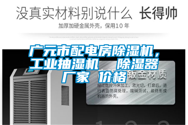 廣元市配電房除濕機,工業(yè)抽濕機 除濕器廠家 價格