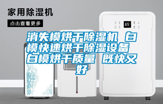 消失模烘干除濕機 白?？焖俸娓沙凉裨O備 白模烘干質量 既快又好